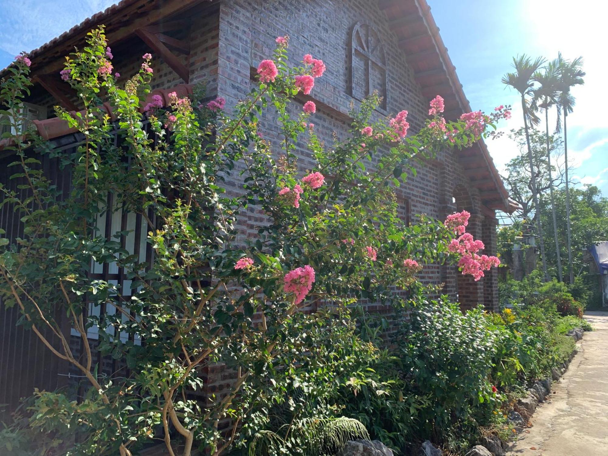Dinh Gia Home Villa & Resort Ninh Binh Bagian luar foto